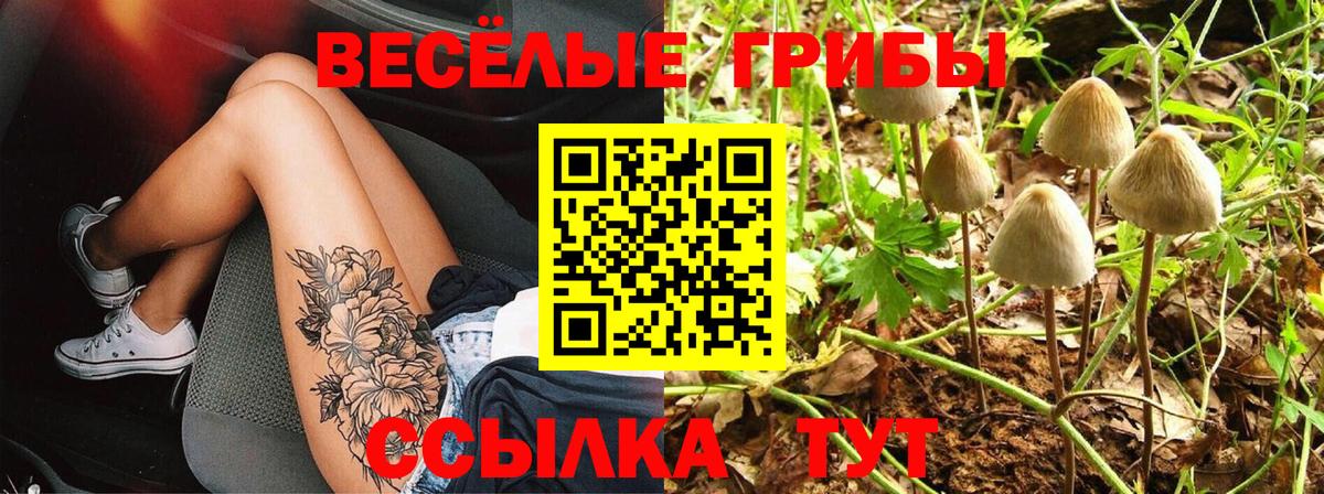 Псилоцибиновые грибы мухоморы Соликамск
